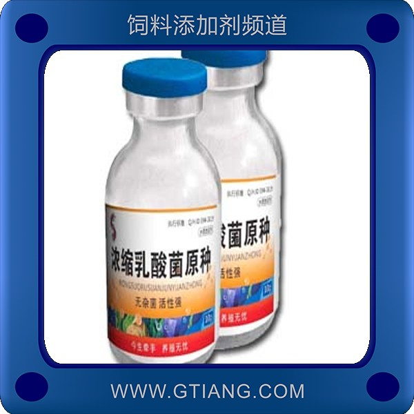 賽美騰濃縮乳酸菌原種 外用調(diào)節(jié)水質(zhì)內(nèi)服調(diào)節(jié)水產(chǎn)動(dòng)物腸道菌群